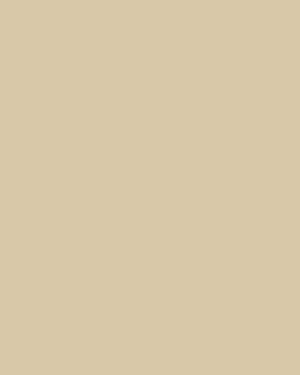 Solid warm-beige placeholder image for New Arrivals testing